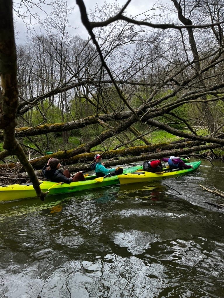 Spływ kajakowy Młynki – Wda lub Wdecki Młyn - zdjęcie 2